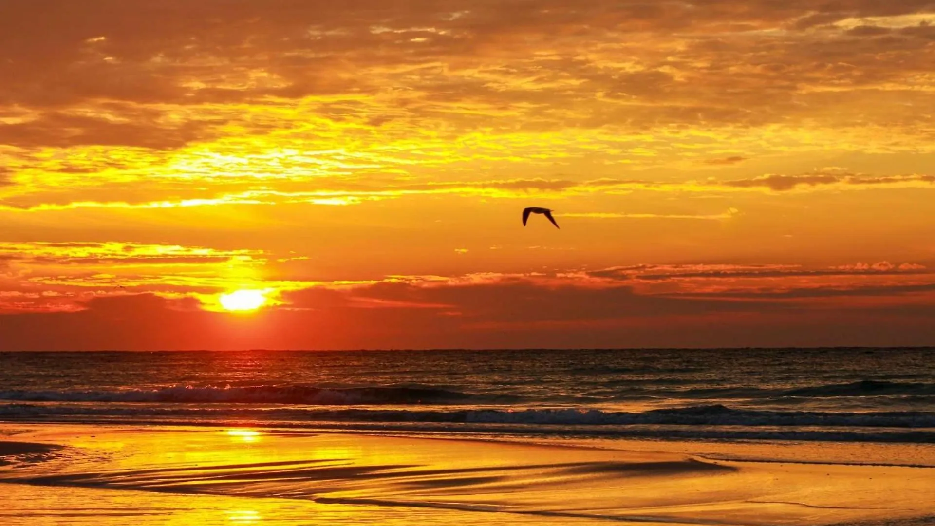 Commodore 906 Panama City Beach United States